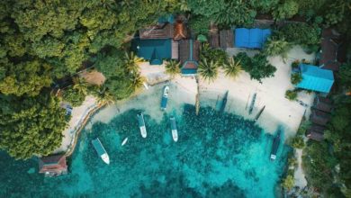 pulau kadidiri kaya biota laut