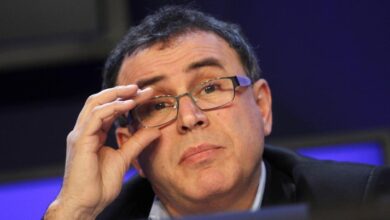 Potret Ekonom Dunia Nouriel Roubini
